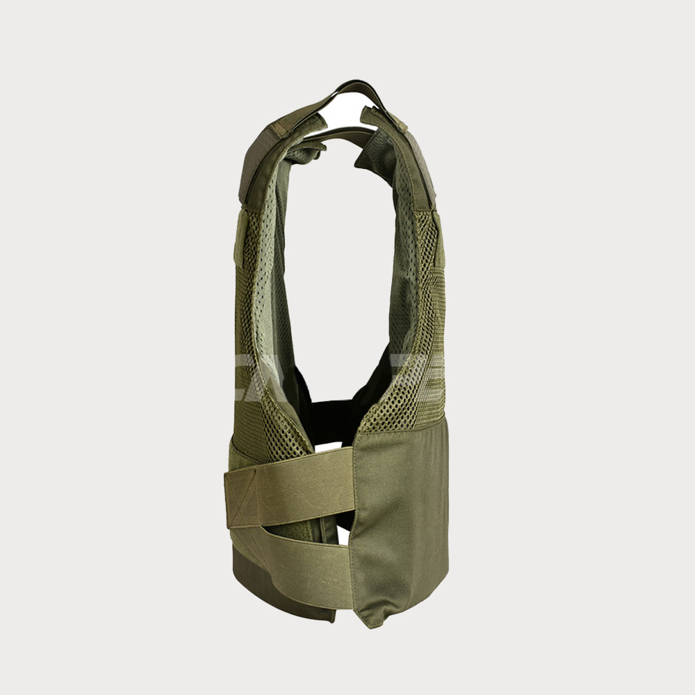 Concealed body armor inside