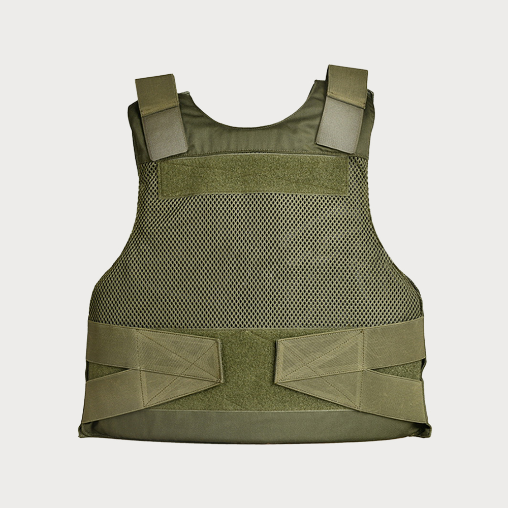 Concealed body armor inside