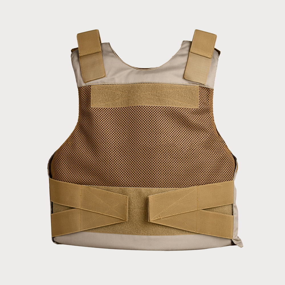 Concealed body armor inside